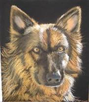 Pet Portraits - A German Shepherd In Pastel